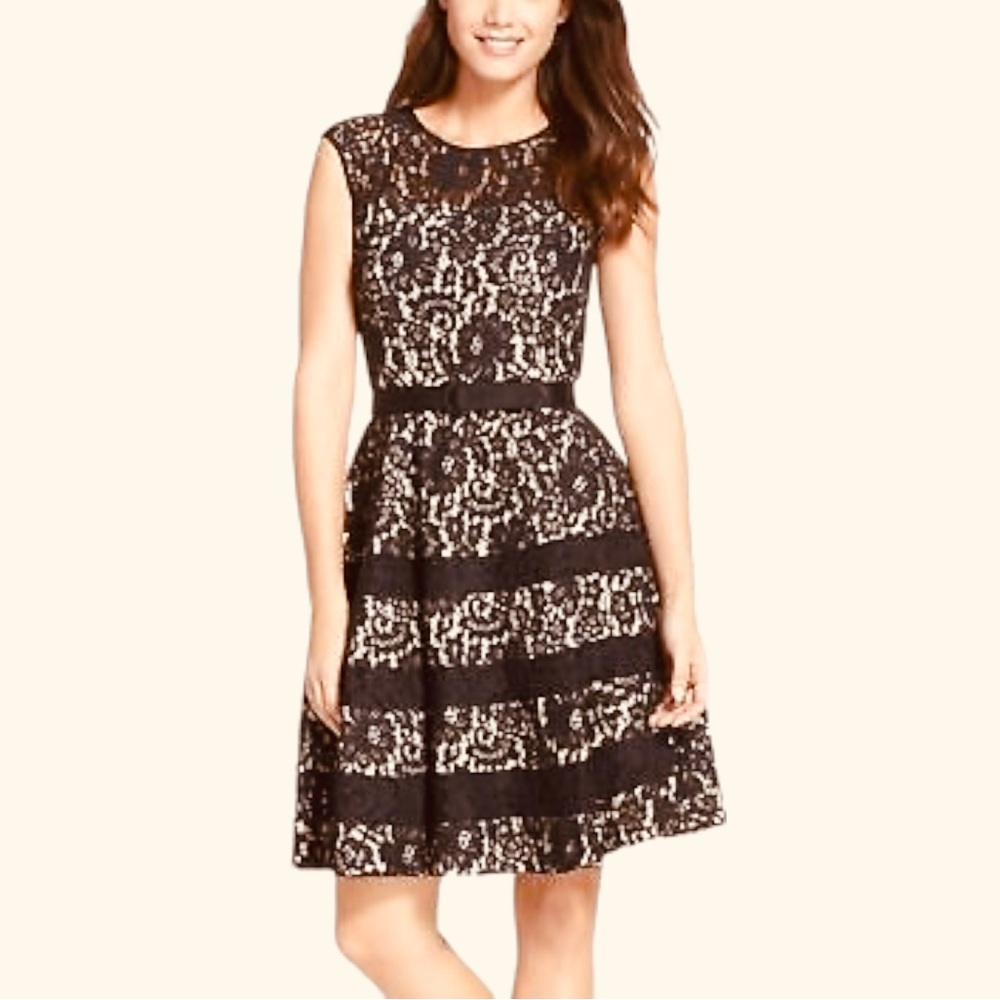 Eliza J Cap Sleeve Lace Fit & Flare Dress Size 2
